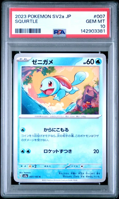 Squirtle