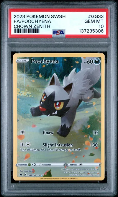 2023 #GG33 Full Art/Poochyena PS