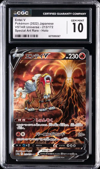 Full Art/Entei V