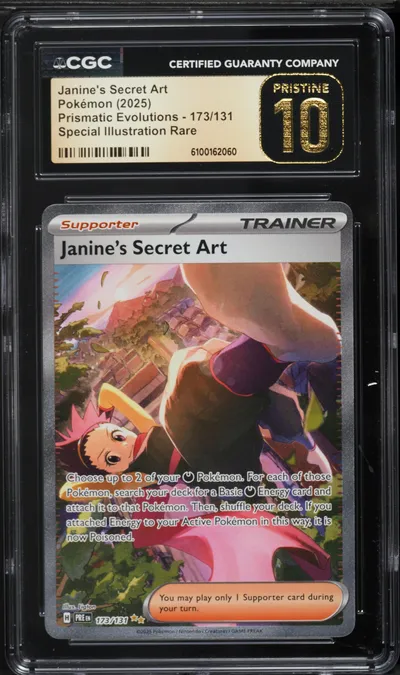 Janine's Secret Art CG